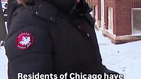 Women in Chicago are now walking children of illegal immigrants to and from school,