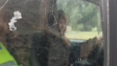 Nun on the run