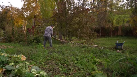 Winter Preparation- Wild Barberry Harvesting and Preservation