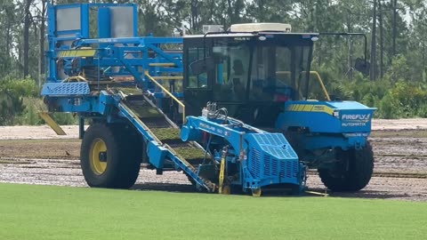 Sod Cutter