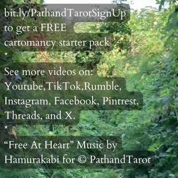 Beyond The Stars | Path and Tarot Reading