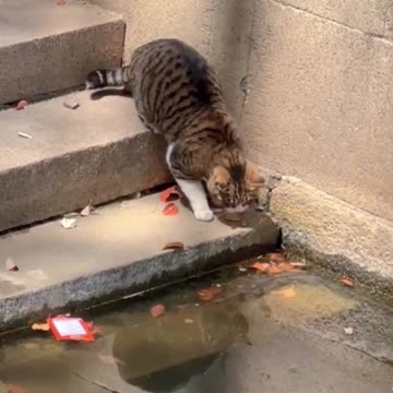 Fishing skills. 💪