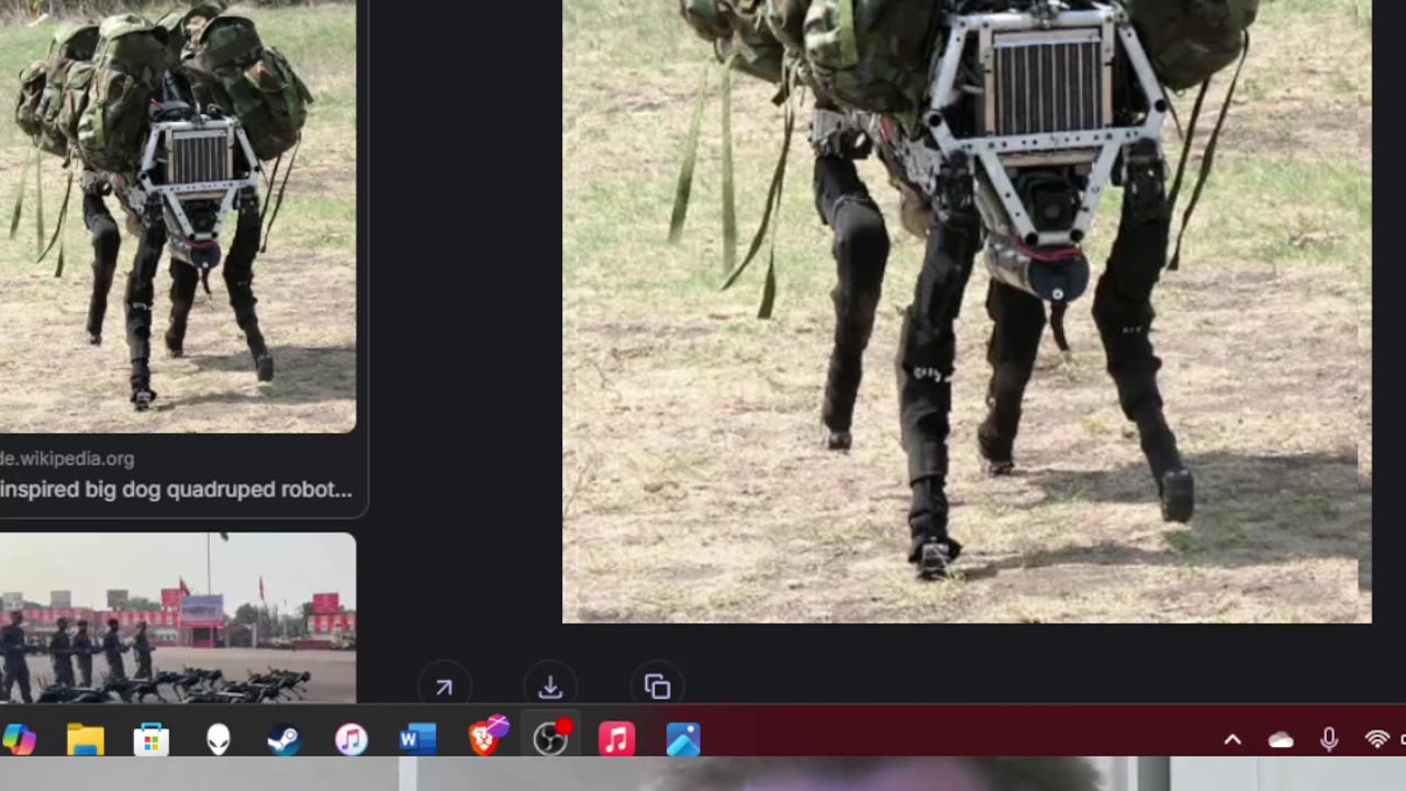 Digimon Thoughts: Mulemon