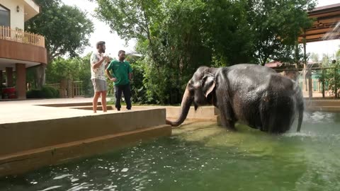 (India)World biggest private animal rescue by park in india🇮🇳