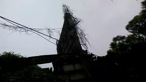 ¿Por qué atrae tanto los días grises y la lluvia? - Tacuarembó 11/12/2025