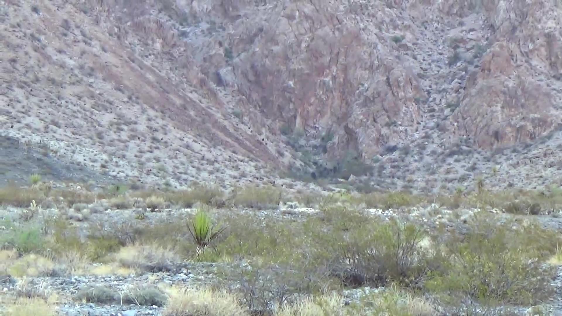 Bottom Contacts of the Plutons 10 Miles Down