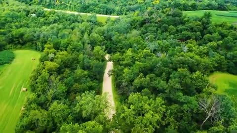 Nature Video Nature Video 4K HD