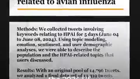 How an Online Conspiracy Became an Offline Crisis