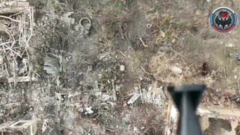 Taras caught the dump in the ass and died.