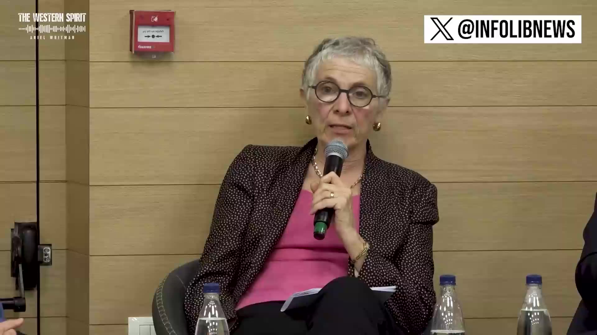 Zionist activist Melanie Phillips | These people live in a delusional utopia 24/7. Learn factual history