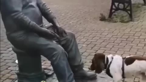 Funny animals 2023😆 - Funniest Cats and Dogs Video🐕🐈192 #shorts