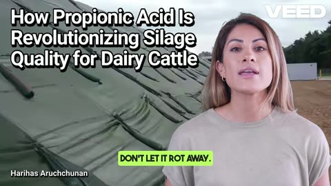 Cover Smart, Feed Strong: Silage Protection with Propionic Acid