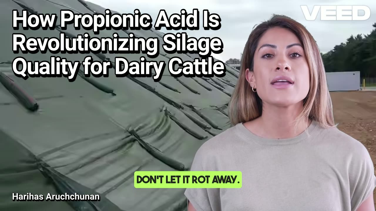 Cover Smart, Feed Strong: Silage Protection with Propionic Acid