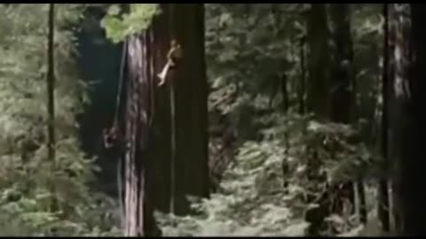 Wichita Lineman- James Taylor