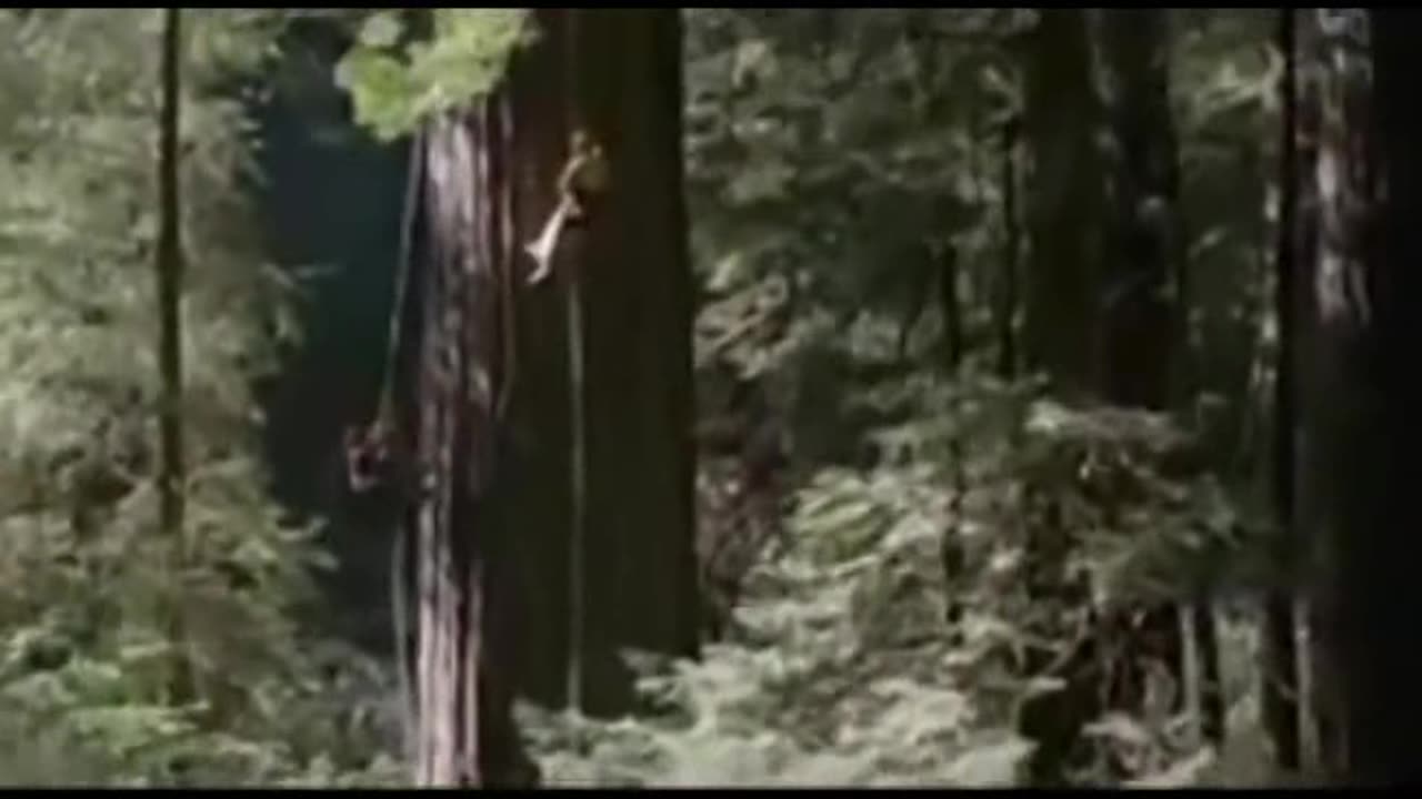 Wichita Lineman- James Taylor