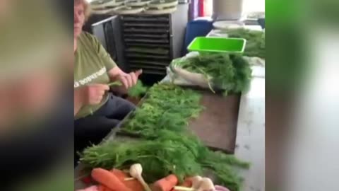 🛠️🇺🇦 Ukraine Russia War | Supporting Volunteers Making Freeze-Dried Soups Amid Conflict | RCF