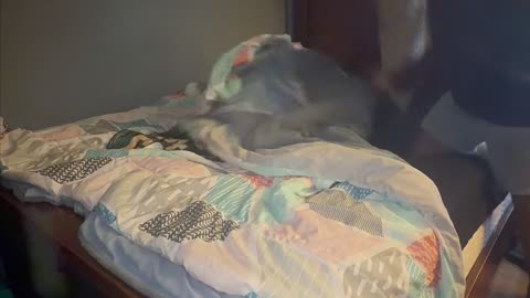 Making My Bed Every Day (Day 15) – From Small Wins to Big Progress