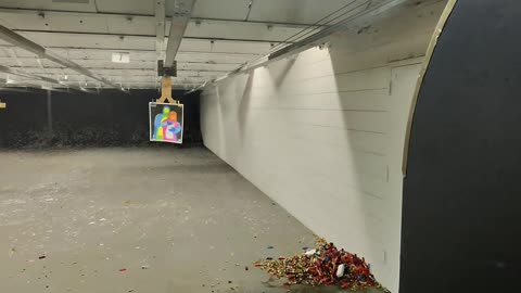 RANGE DAY: Palmetto State Armory Dagger FS w/ Radian Ramjet + Afterburner & K9 Ports and DPM Systems
