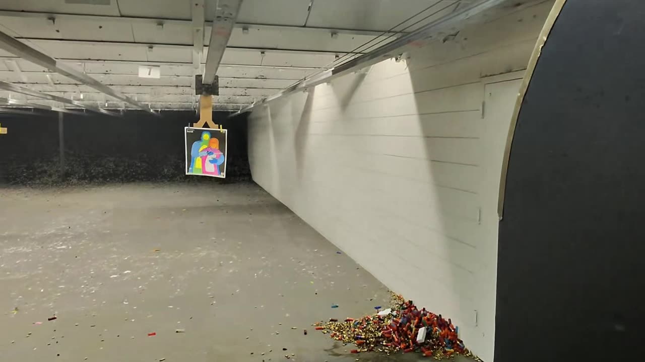RANGE DAY: Palmetto State Armory Dagger FS w/ Radian Ramjet + Afterburner & K9 Ports and DPM Systems