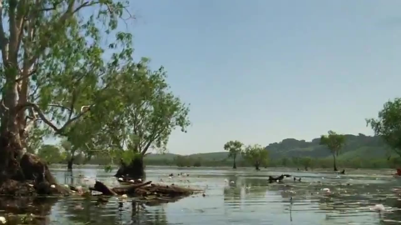 crocodile dundee movie