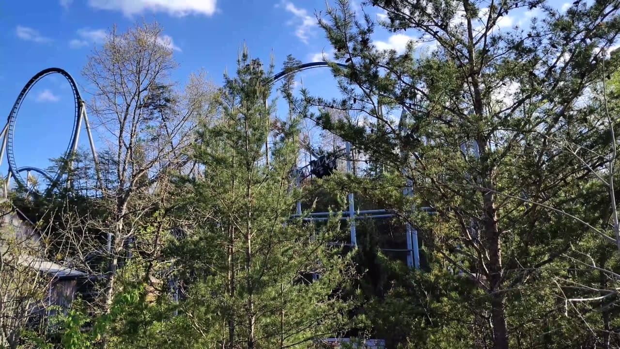 Random Dollywood Clips from Saturday April 12 2025