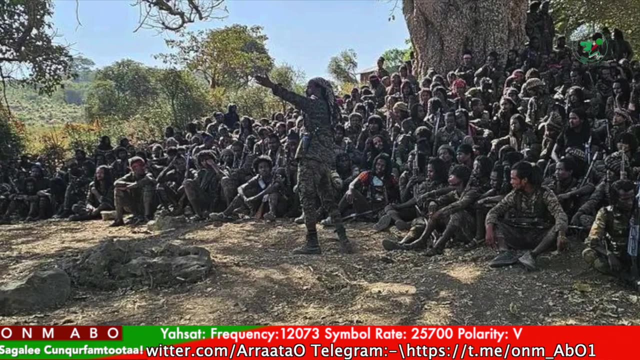 Gabaasa Tarkaanfii ONM-ABO Caamsaa 9-2025 itti dhiyaadhaa!