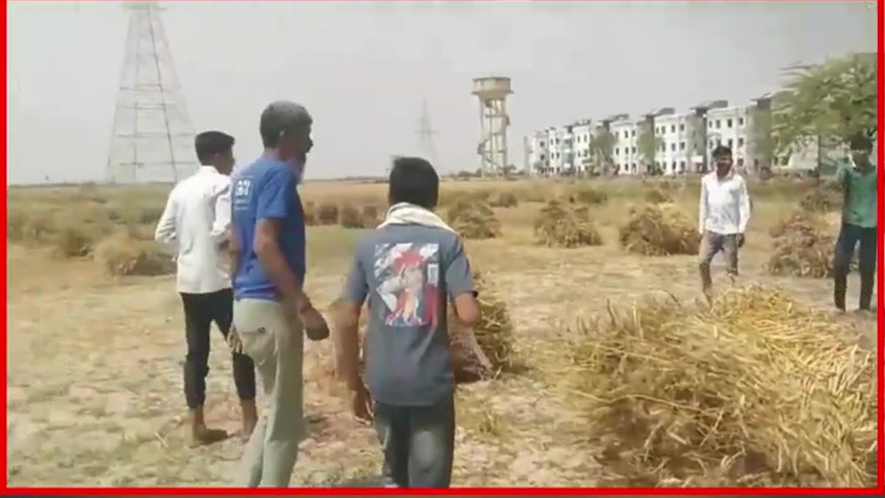 Etawah: Fire Destroys 28 Bighas of Wheat Crop, Farmers Demand Compensation