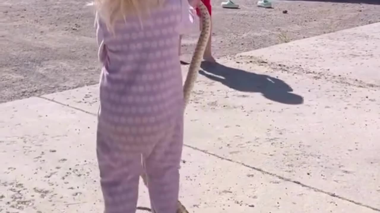 The children and the snake 🐍
