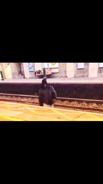 Black tries to Rape and rob White girl