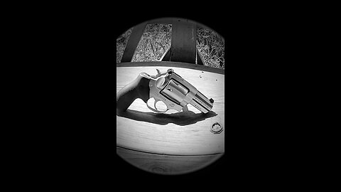 Ruger GP100 44 Special
