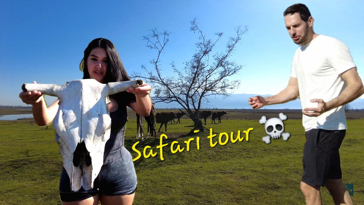 Safari tour en Kerkinis Lake 🇬🇷