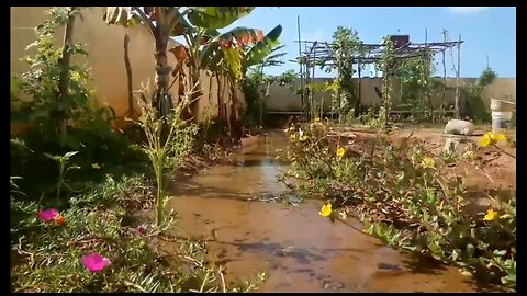 How much Water My Mini Concrete Dam delivers into Mini River stream in #Cooking #Politics #Gaming