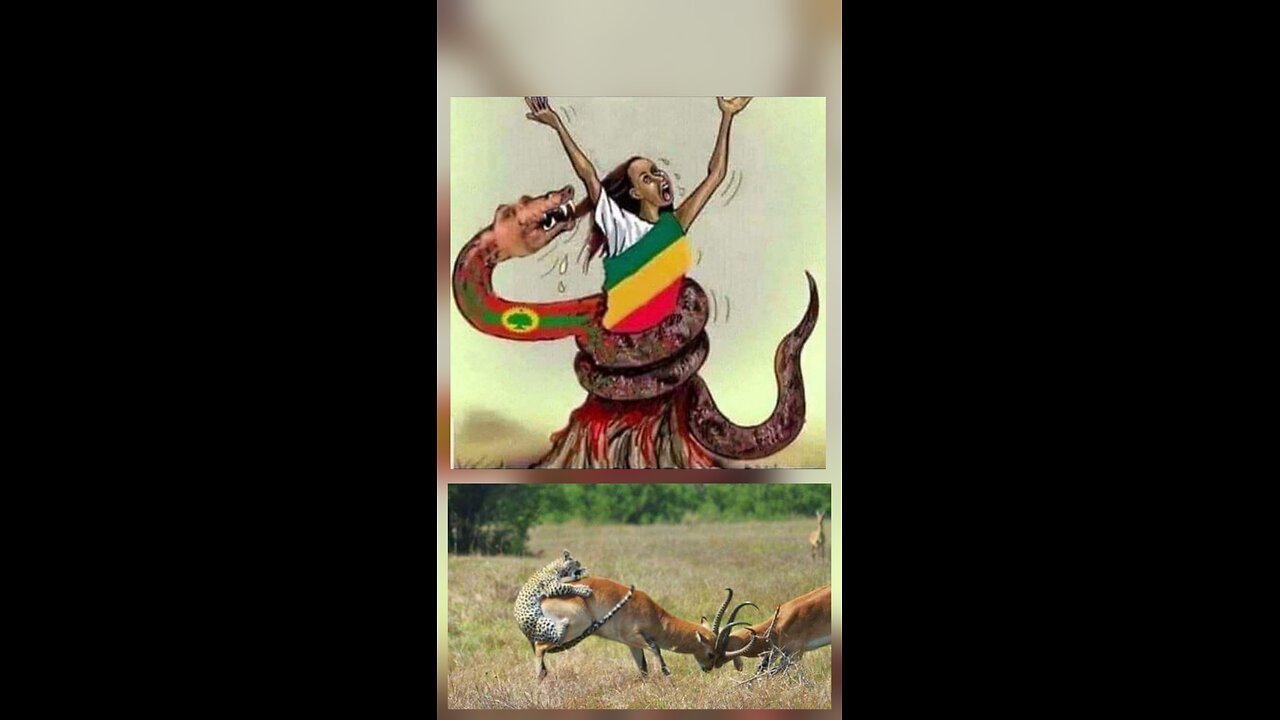 ኢትዮጵያ ተወራለች!!
