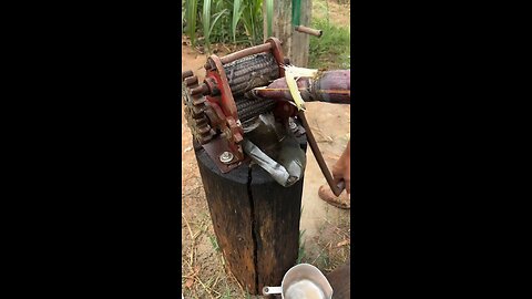 Satisfying Sugarcane Juice ASMR 🤯 #oddlysatisfying #asmr #relaxing #cooking