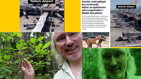Tungmetall-epilepsi. Bygg kopplingar! Gaza Holocaust. Israel inlåst; missilförsvaret snart utslitet