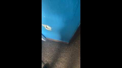 Broken kazoo