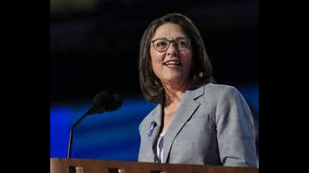 Dems' Campaign Chief Unfazed by Primary Challenges to Pelosi, Hoyer