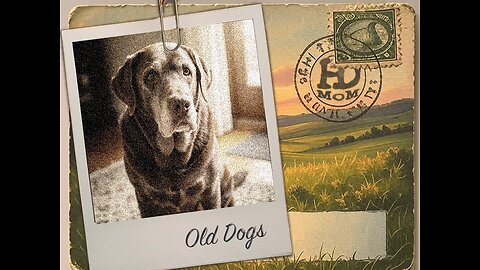 Harold Dean & The Men Of Means - Old Dogs (Lyrical Video)