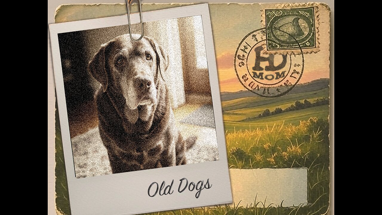 Harold Dean & The Men Of Means - Old Dogs (Lyrical Video)