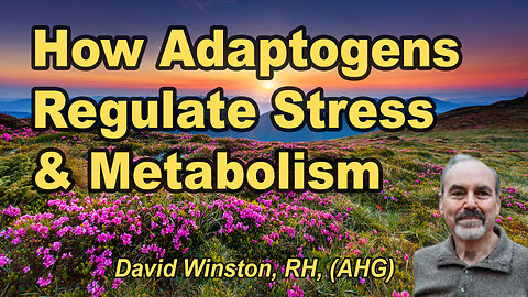 How adaptogens regulate stress and metabolism