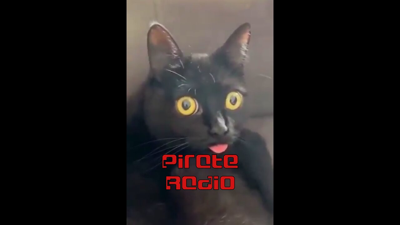 Pirate Radio #9 - Anarchism, Trump v. Putin, Cracker Barrel Bombs