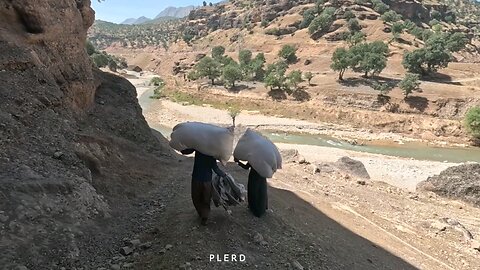 A Nomadic Family's Afternoon by the River: Washing Sheep Wool and the Joy of Shared Responsibilitie