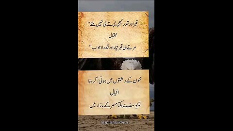 Respect and grave