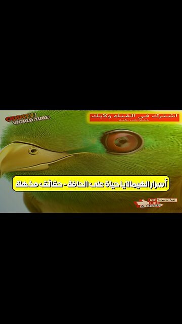 أسرار الهيمالايا: حياة على الحافة - حقائق مذهلة! #قبائل #الهيمالايا #حياة_برية