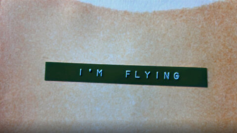 I'm Flying