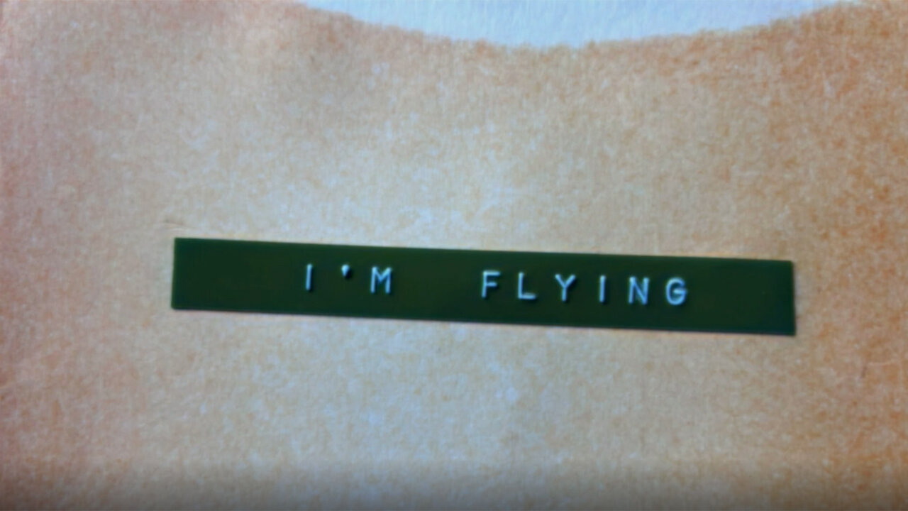 I'm Flying
