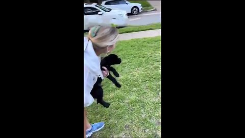When your best friend adopts a puppy from the same litter so they can grow up together..🐕🐾😊❤️