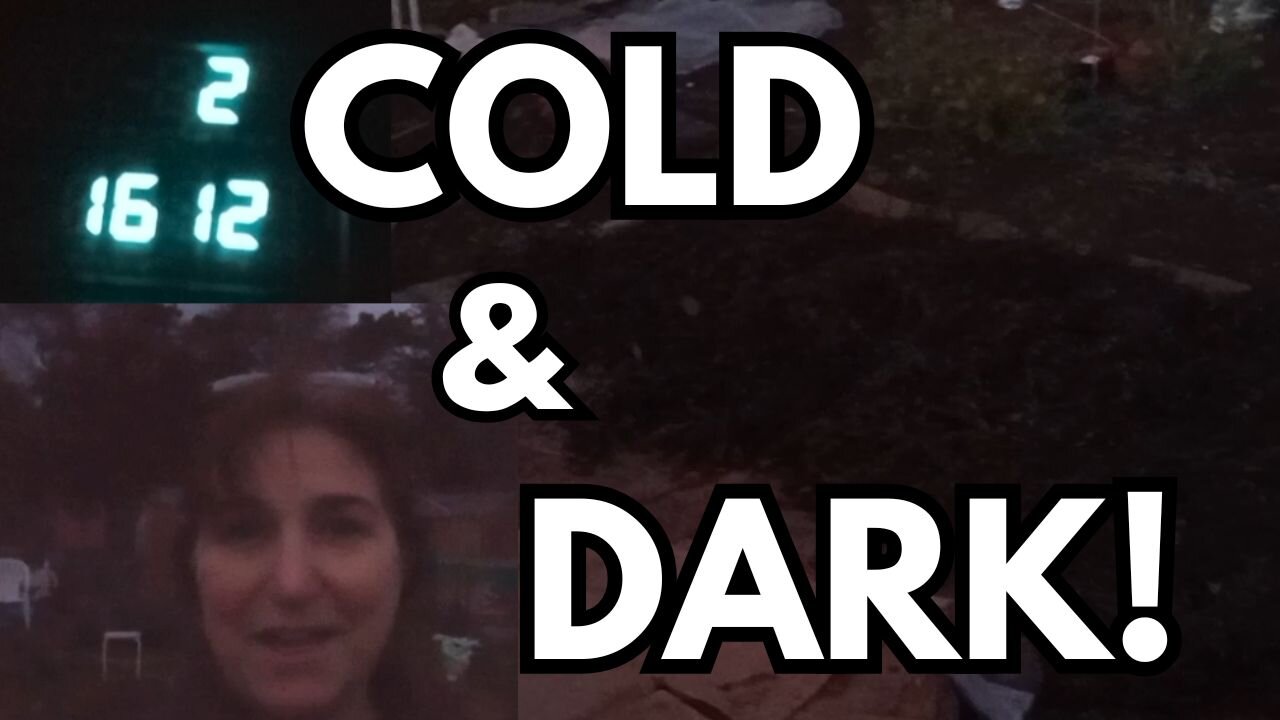 No-Dig Winter Prep: Manuring Garlic & Mulching with Seaweed