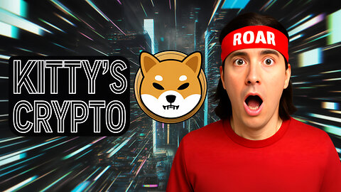 Shibarium Hacker Runs Out of Moves | Roaring Kitty Community Strikes Back