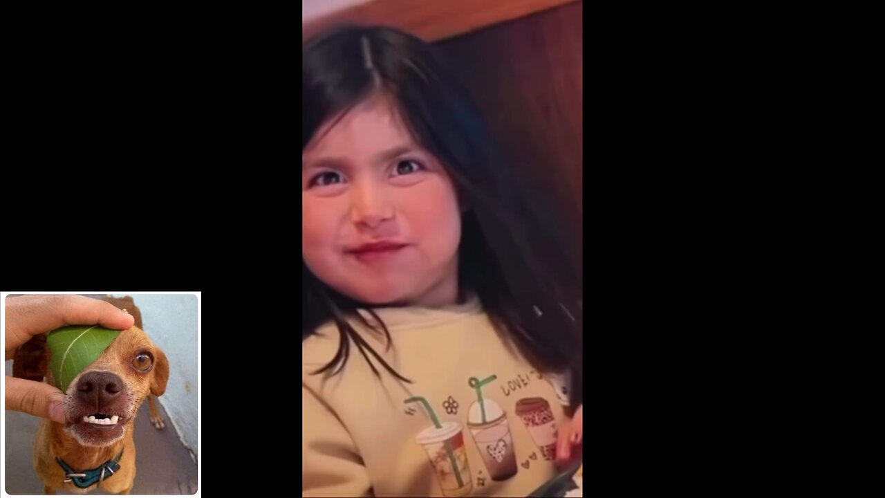 Funny videos compilation 61